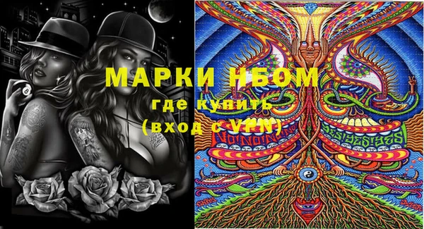 ешки Надым