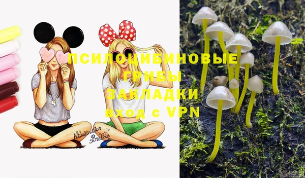 ешки Надым