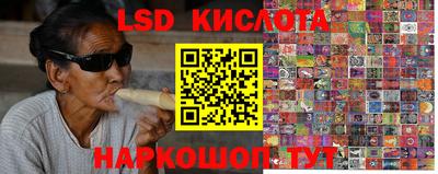 ПСИЛОЦИБИНОВЫЕ ГРИБЫ Донской