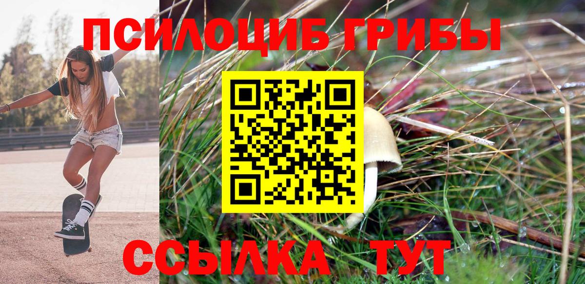 Москва  Псилоцибиновые грибы мухоморы  Вход с VPN 