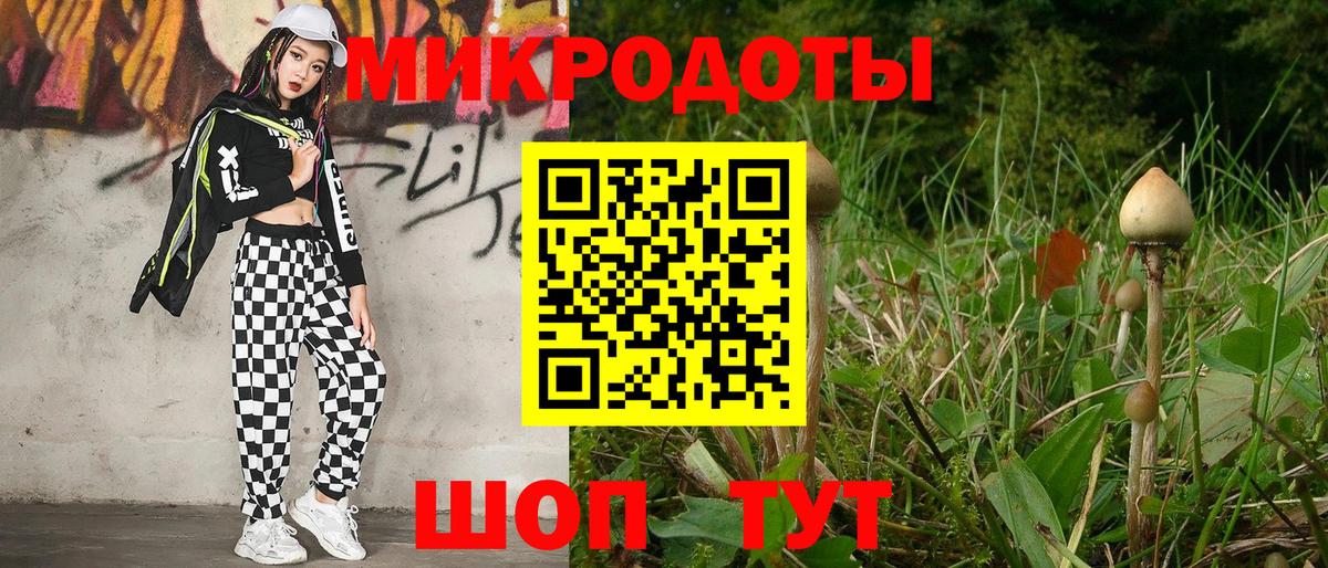 Галлюциногенные грибы прущие грибы  Москва  Псилоцибиновые грибы мухоморы 